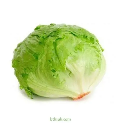 Iceberg Lettuce خس