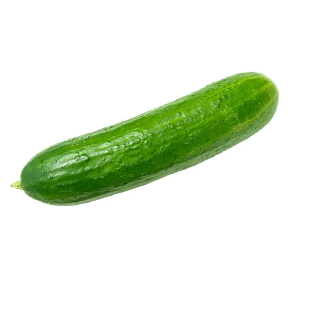 خيار حبة واحدة 
