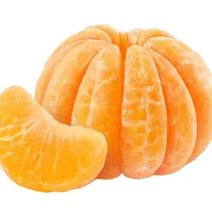 برتقال شرائح روضة 